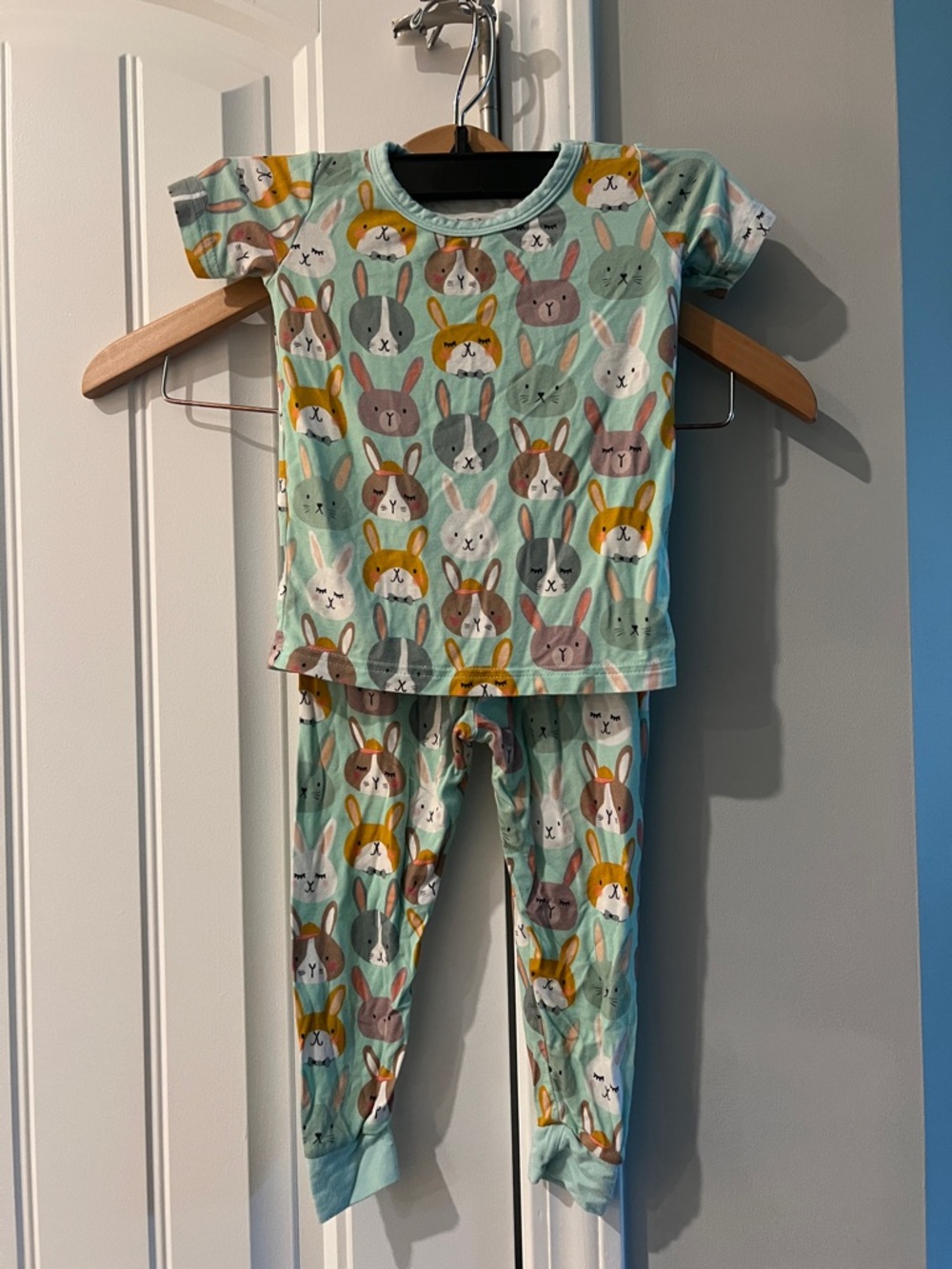 Little Sleepies Rad Rabbits Pajama Set